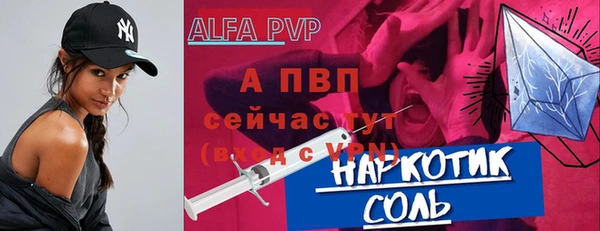 стафф Осташков