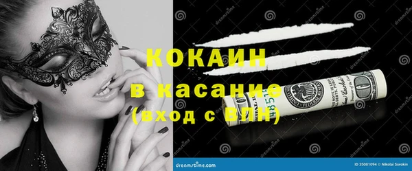 прущие грибы Богданович