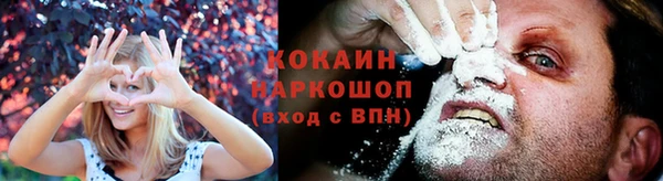 прущие грибы Бронницы