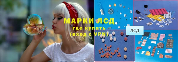 прущие грибы Бронницы