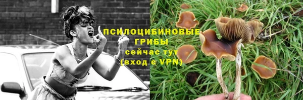 кокаин Бородино