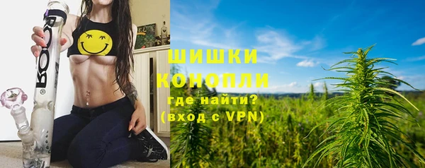 мет Пересвет