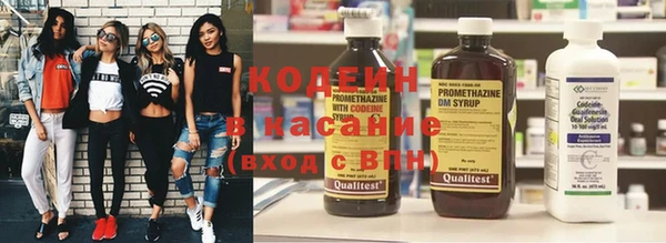 прущие грибы Бронницы
