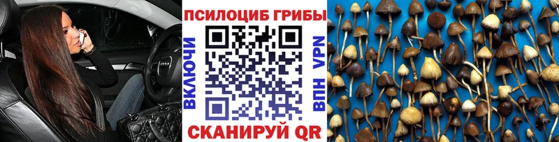 наркошоп  Катав-Ивановск  Псилоцибиновые грибы ЛСД 